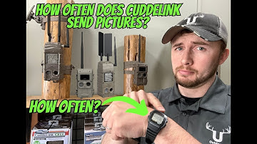 How Often Does Cuddelink Send Pictures? - Cuddeback Cuddelink System