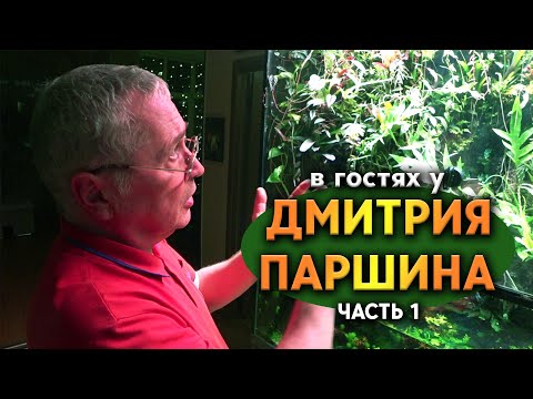 Visiting Dmitry Parshin, Part 1. An extraordinarily beautiful and large paludarium.