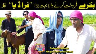Bakra Bechney wala Fraud Niklaa Saleem Albela and Goga Pasroori Funny Video