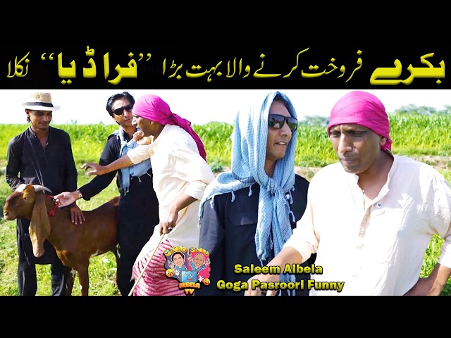 Bakra Bechney wala Fraud Niklaa Saleem Albela and Goga Pasroori Funny Video
