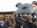 Bulldog Spirit