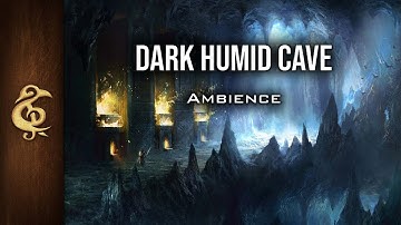 Dark Humid Cave | Adventure Ambience | 1 Hour #dnd