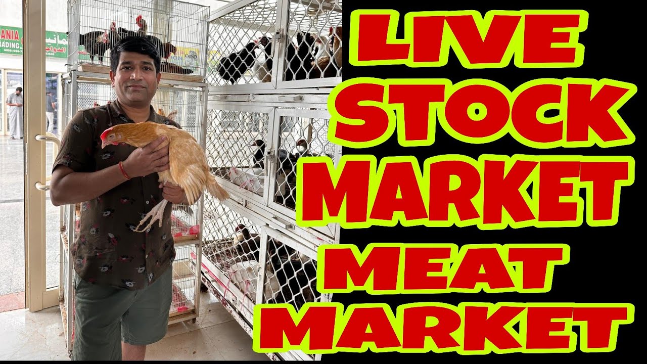 Meat Chicken Vegetable Market Ajman Live Stock Market Ajman Ganesh meat-chicken-vegetable-market-ajman-live-stock-market-ajman-ganesh
