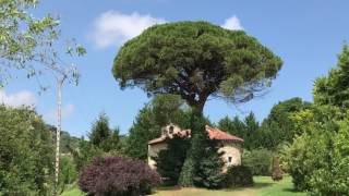 Ermita Románica de San Román S.XIII Baranda Escalante Cantabria