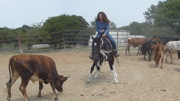 McCalls Choctaw - working cows! - ValleyViewRanch.net