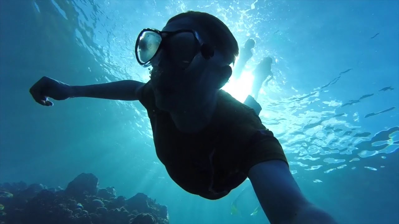 snorkeling in martinique! YouTube