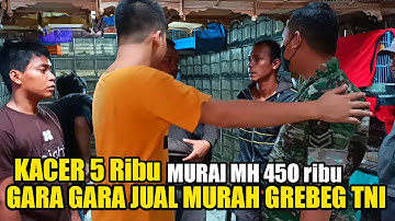 PROMO MURAH MERIAH, Turun harga burung PB pasar Pramuka terbaru Jakarta timur