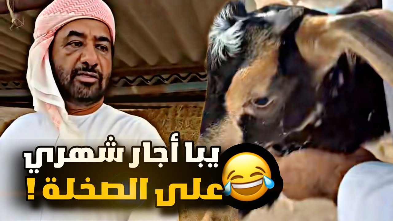 يبا ايجار شهري ع الصخلة 😂😂😂 - YouTube