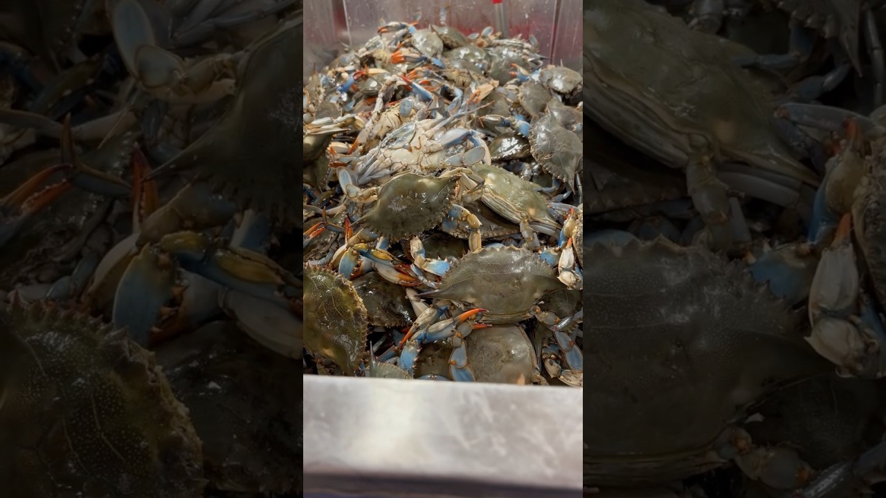 2025 Grocery Prices In MO, USA | State Of The Nation (1983) by Industry