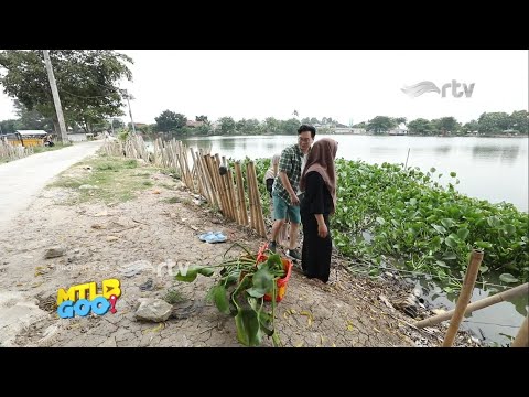 Kumpulin Eceng Gondok Biar Bisa Ketemu Ratu..?