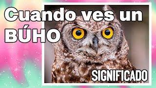 ¿Qué significa CUANDO VES un BÚHO?