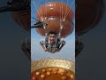 10,000 Feet Se Giant Gulab Jamun Par Landing 😱 #shorts