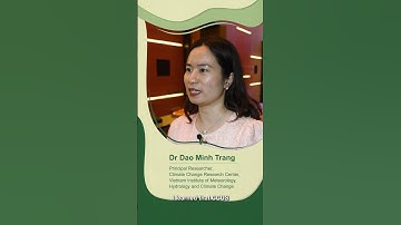 Carbon Capture, Utilisation & Storage (CCUS) Technologies - Sin-UK TCTP, 10-13 February 2025