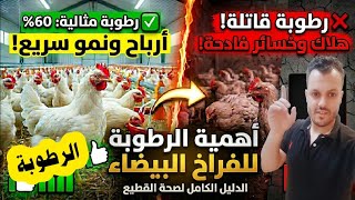 احذر! خطأ واحد في "الرطوبة"  يدمر الفراخ بالكامل طريقه تظبيط الرطوبة للفراخ 