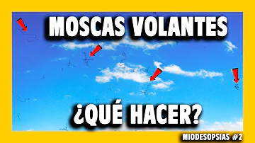 ¿Cómo quitar las manchas flotantes de los ojos?