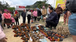 Zon sells chickens and pigeons with unexpected luck at the highland market , vang hoa