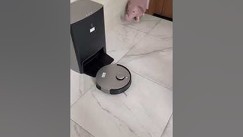 Deebot X1 Omni fault: can not return to the station