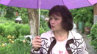 Служба 11 160603 Лучший двор на Ключевского HD НОВ