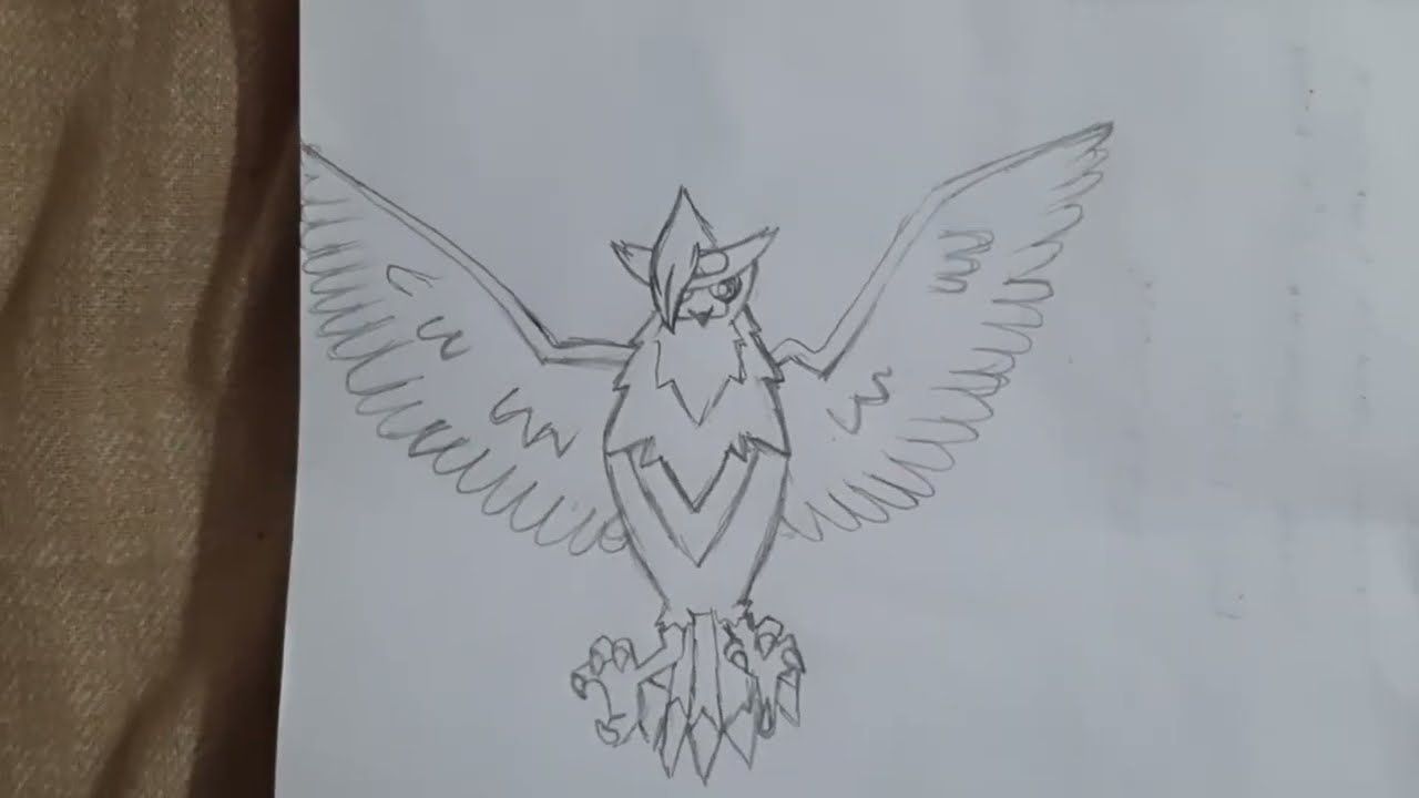 DRAWING STARAPTOR/ MUKUHAWK | 