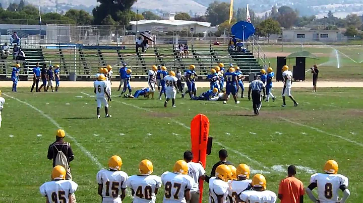 #33 Lesley G. Mcfarland 250 yards of total offense...
