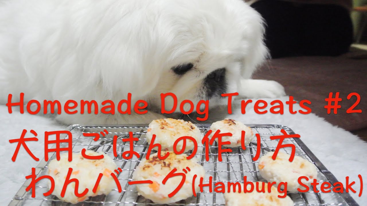 犬ごはん簡単レシピ 2 お米と鶏ひき肉のわんバーグ Youtube 犬ごはん簡単レシピ 2 お米と鶏ひき肉のわんバーグ Youtube