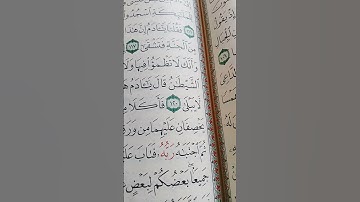 ما معنى كلمه "يخصفان"#سورة #طه