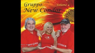 Gruppo New Condor - Please Release Me (cover)