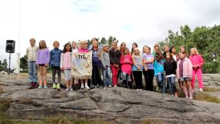 Vika 2. periode 2012