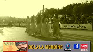 Beşir Kaya - Delale Merdine Resimi