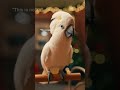 “PARROT THINKS CHRISTMAS SONG IS A SHOP DOOR BELL” 🦜🛎️"#funny parrot # door bell