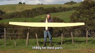 Endurance Big Boy part 3 (wing)