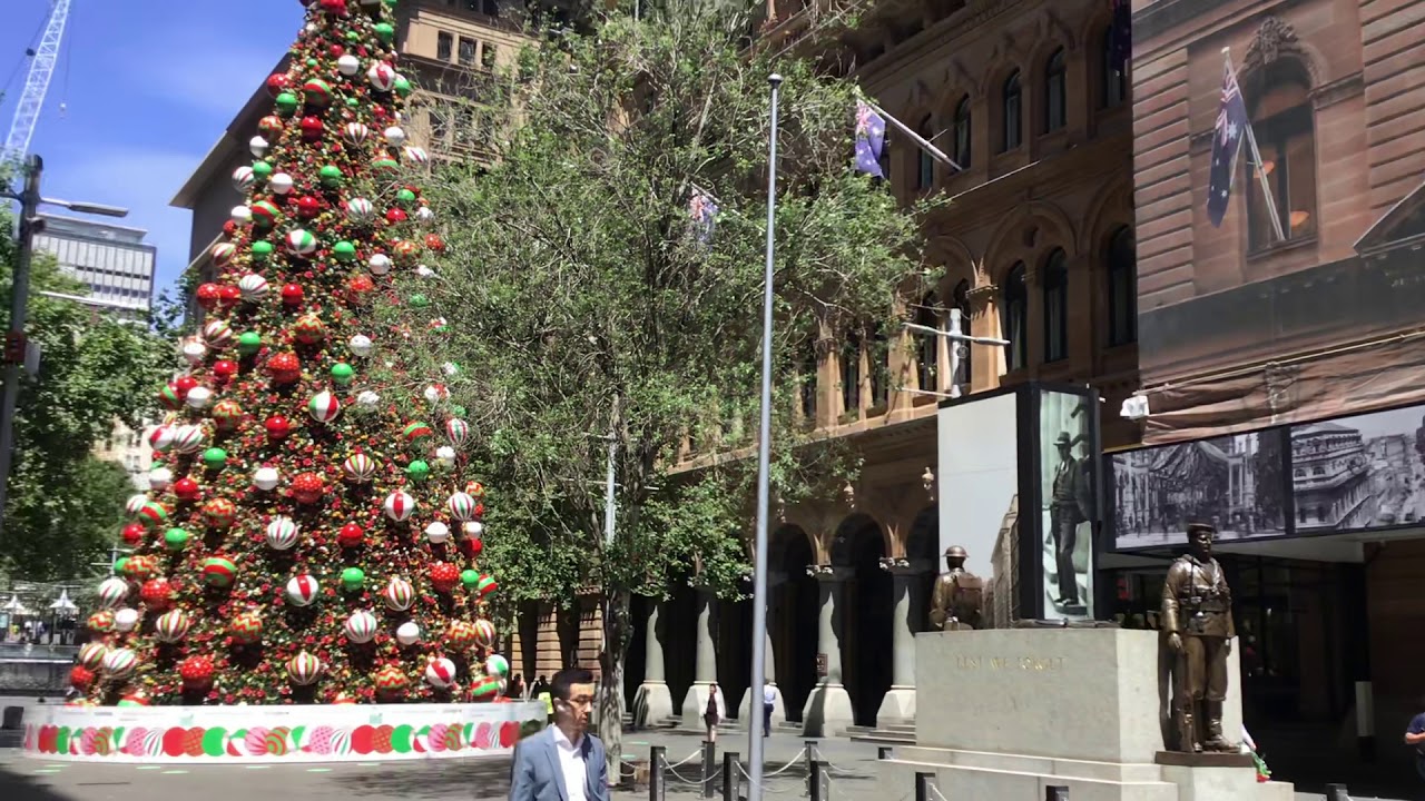 夏の国のクリスマスツリー Youtube