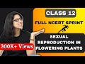 Sexual Reproduction in Flowering Plants | CBSE Class 12 Biology | Dr. Vani Mam | Vedantu Biotonic