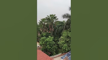 Nature Exploration | Amazing Scenery | Abandoned Bus #shorts #trending #wow