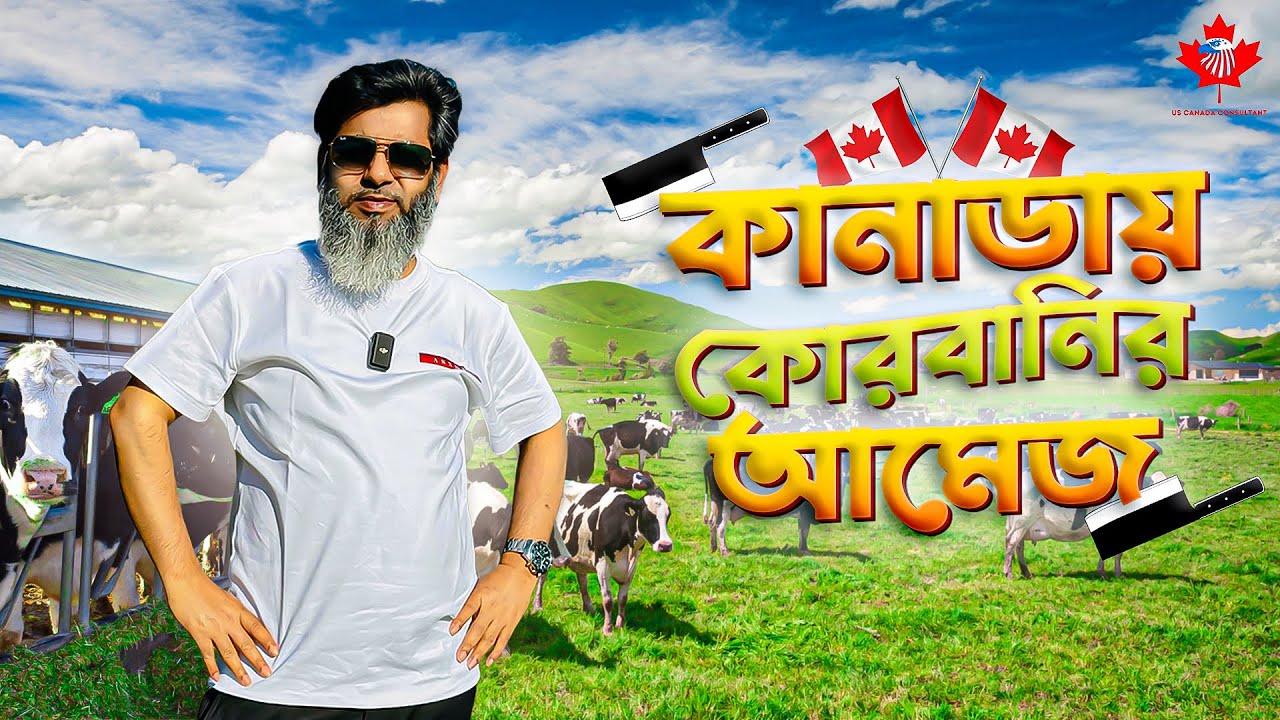 কানাডায় কোরবানির আমেজ ! Eid ul adha in Canada