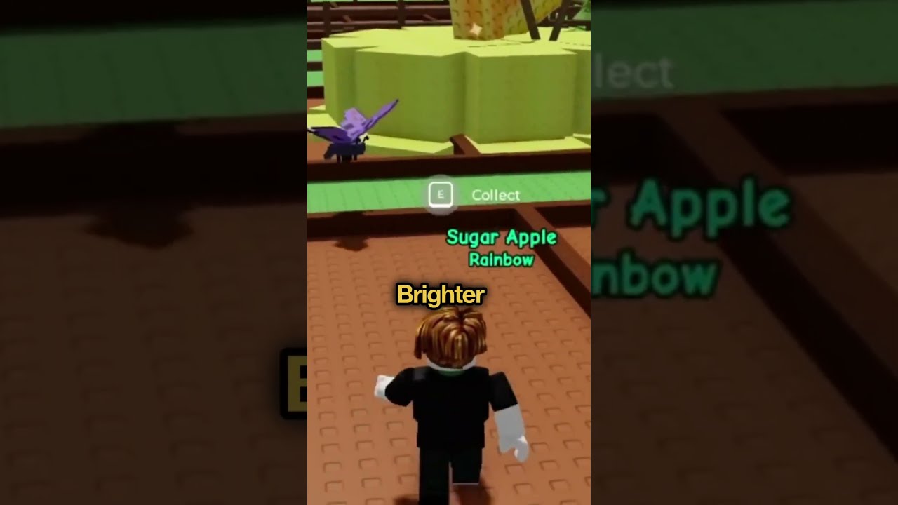 Grow A Garden Stock Live Codes Roblox
