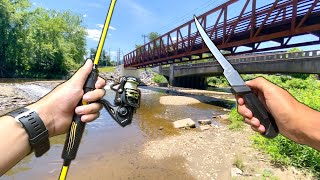 Eating Whatever I Catch.. (Catch and Cook) Creek Spillway Fishing & Wading