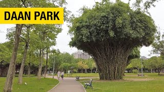 Relax and Recharge in the Peaceful Setting of Daan Forest Park in Taipei