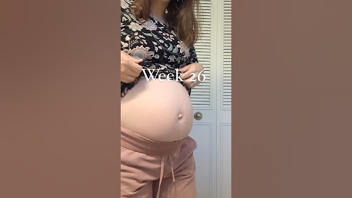 Week 26 Baby Development