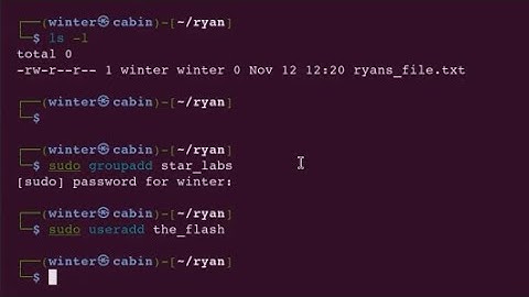 Mini Labs 2 and 3: Linux File Permissions and Ownership Basics