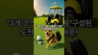 아름다운골프회원권매매,아름다운골프회원권시세,골프회원권거래,콘도회원권거래,골프회원권매매,콘도회원권매매 #golf #장유골프개인레슨 #골프