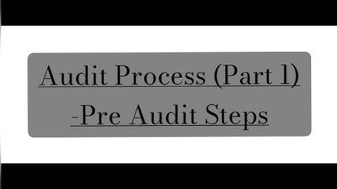 Steps of AUDIT PROCESS IN ERP