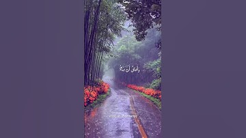 #المصحف #تلاوة_خاشعة #اكسبلور #قرآن