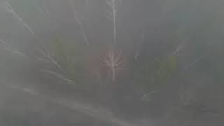 Туман в Пустошке