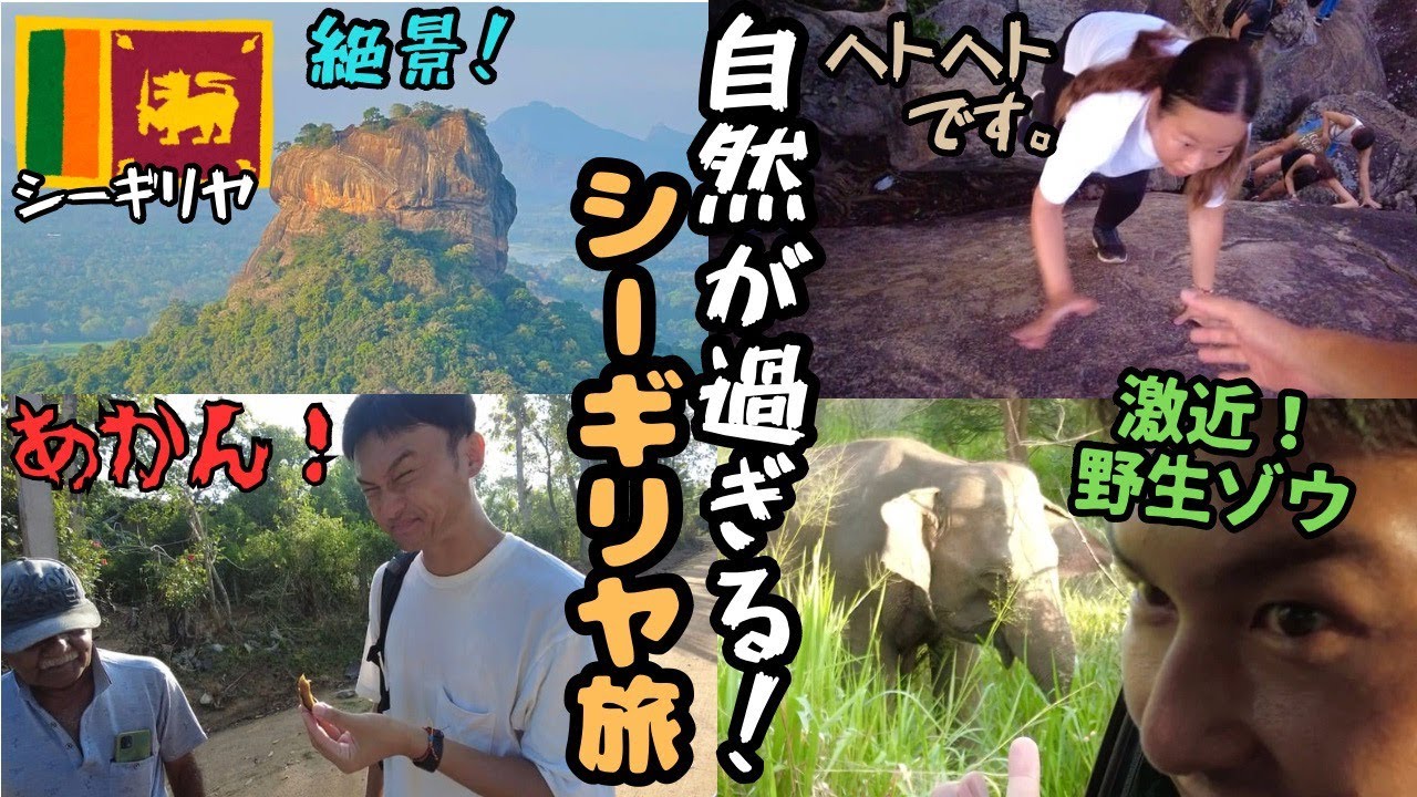 世界一周＃30【野生ゾウ！】スリランカ・シーギリヤで格安サファリ！早朝ピドゥランガラロックからシーギリヤロックを拝んで来た！