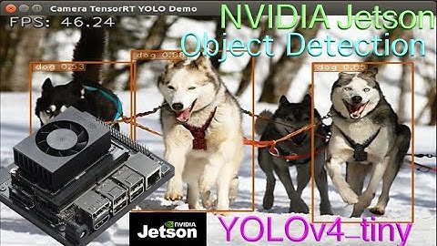 NVIDIA Jetson Xavier NX Object Detection with YOLOv4-tiny-416