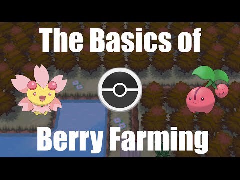 The Basics of Berry Farming - PokeMMO