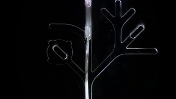 Ultrafast, miniature soft actuators:  Endoscopic device navigating within narrow channel network