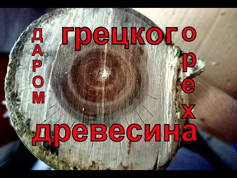 Видео: Почему древесина грецкого ореха дорогая?