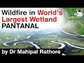 Wildfire in world's largest tropical wetland Pantanal - Impact of Brazilian wildfire on environment